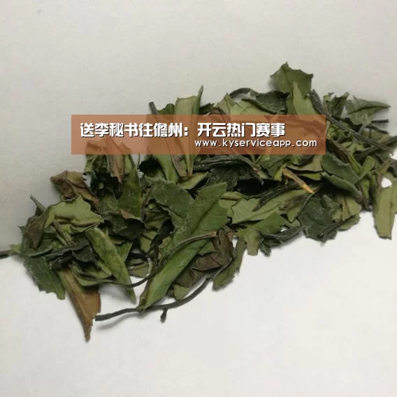 开云热门赛事
