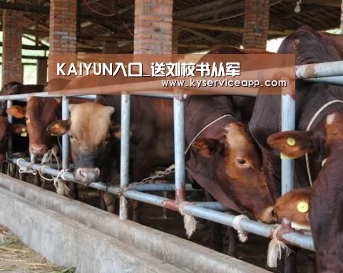 开云体育首页
