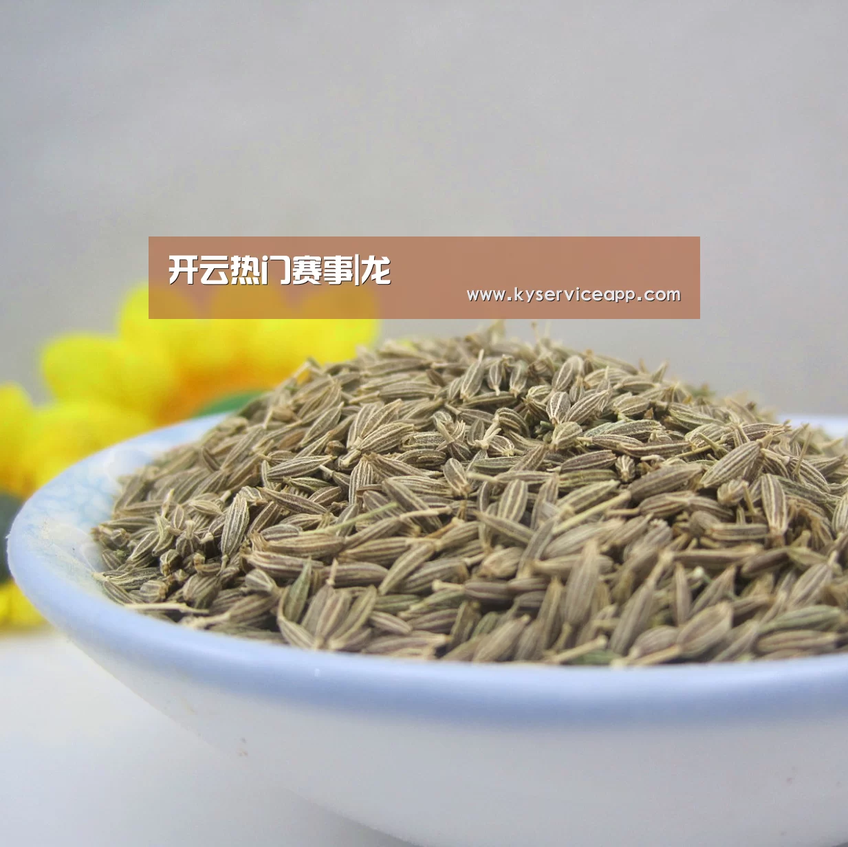 开云体育首页